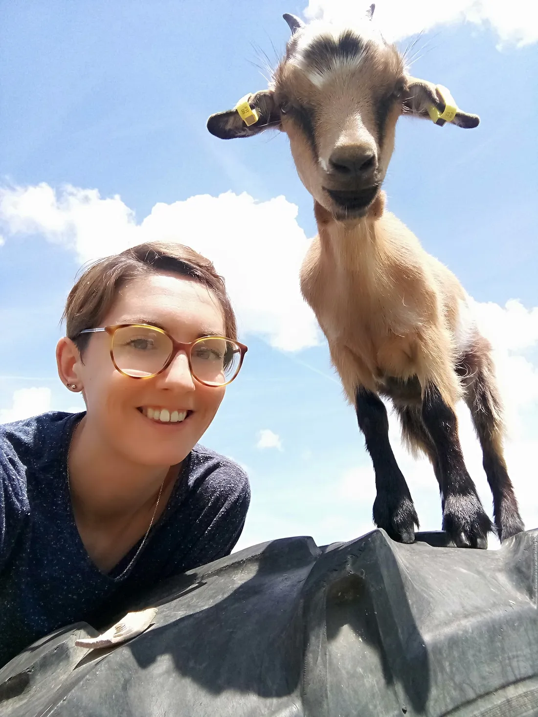 Les chêvres de Camille